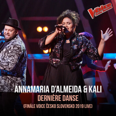 Dernière Danse (Finále Voice Česko Slovensko 2019 - Live)