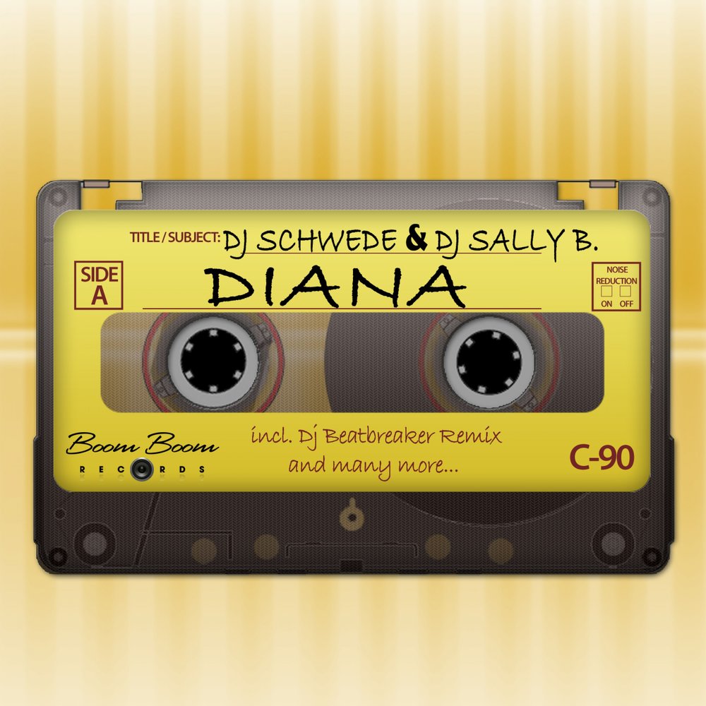 Dj sally. DJ Schwede Soldier of Fortune. B B Sally. DJ Salli. DJ Sally Baby.