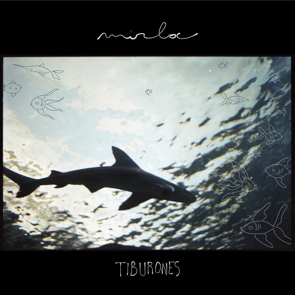 I m begging you los tiburones. Tiburones Music Band. Los tiburones never Let you go. Los tiburones - i'm begging you.