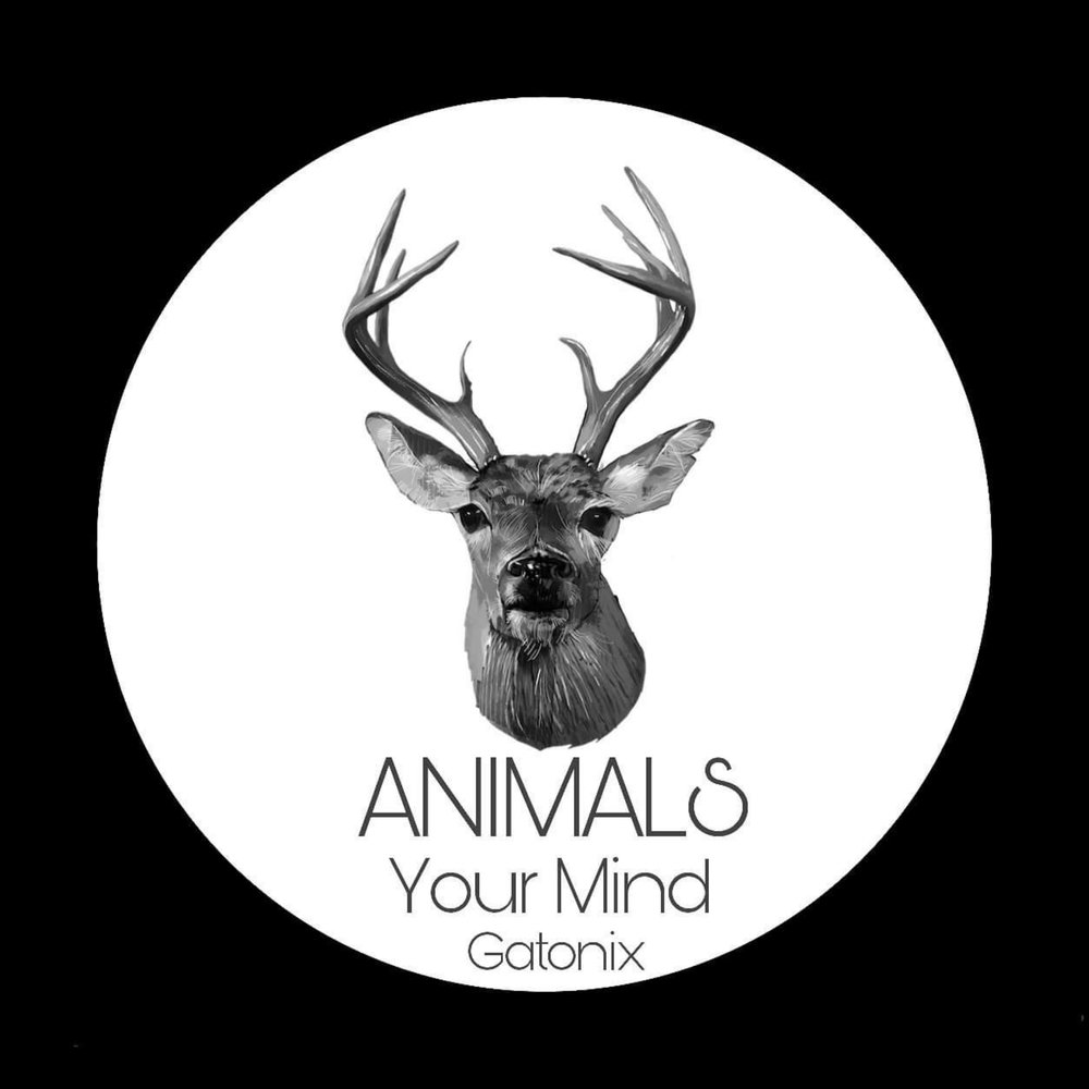 Animal mind. Think animal. Human vs. Animal mind. Animal mind.