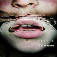 Hareld