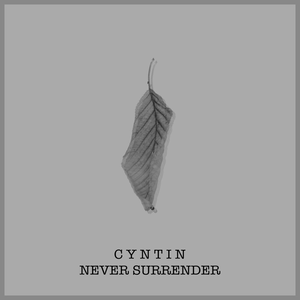 Never surrender перевод. Never Surrender песня. Never Surrender #2nd Wave. Notions x Shade Apollo - Surrender never.