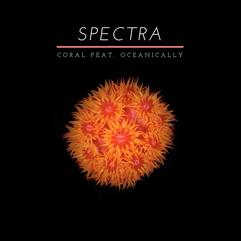 Spectrum Coral. SPIKYCACTUS montagem Coral альбом. Music Spectrum. SPIKYCACTUS montagem Coral песня.