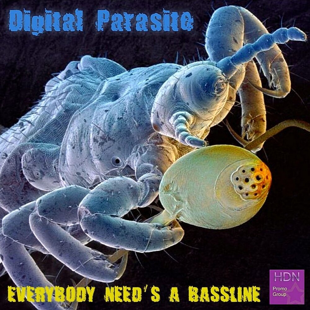 Как выглядит вша под микроскопом фото Escape Digital Parasite слушать онлайн на Яндекс Музыке