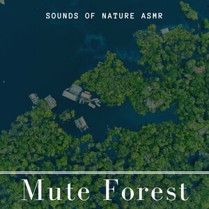 Bio Julian - Mute Forest