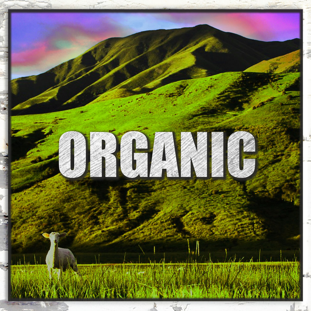 Organic music. Music organic agniva. Слушать органику. Слушать органику. Слушать органику.