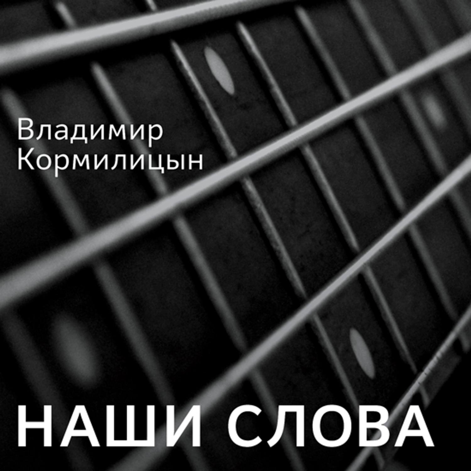 Владимир Кормилицын