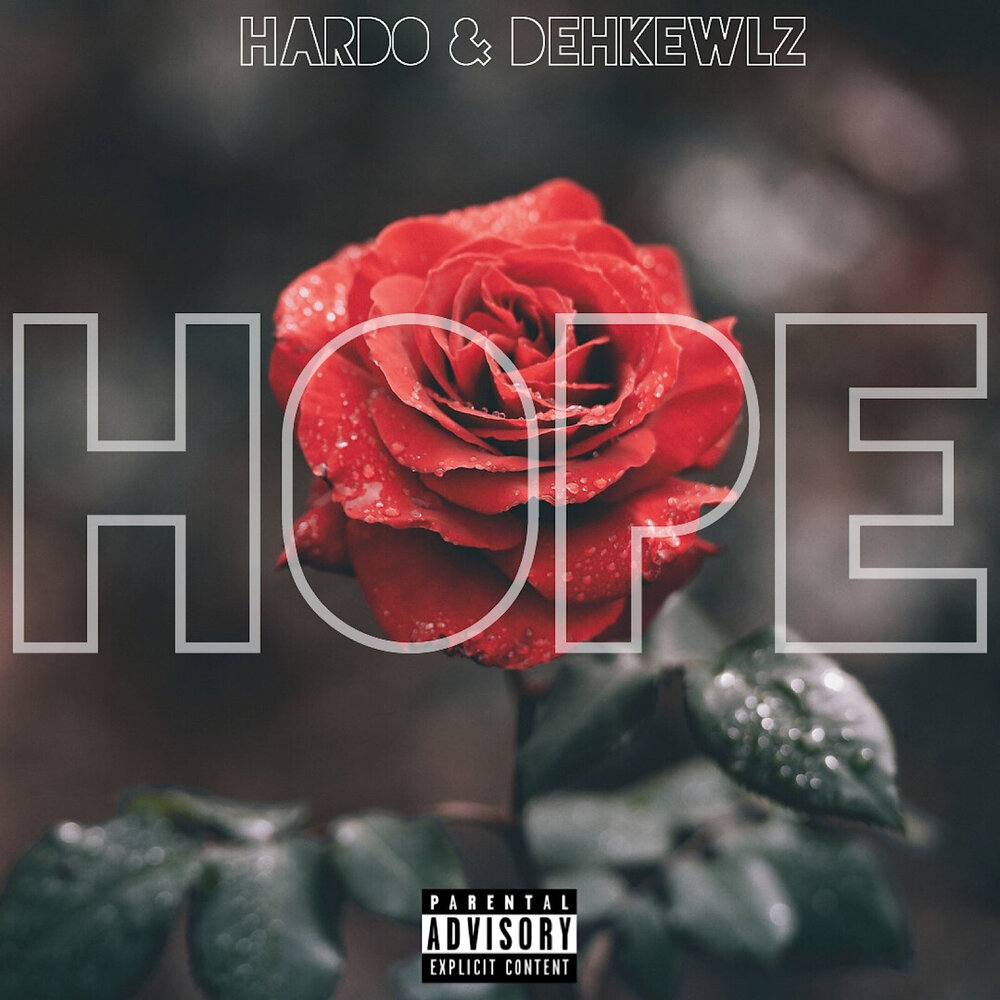 Hope remix. Альбом песни hope. Hardo песня. Album hope. NF hope album.