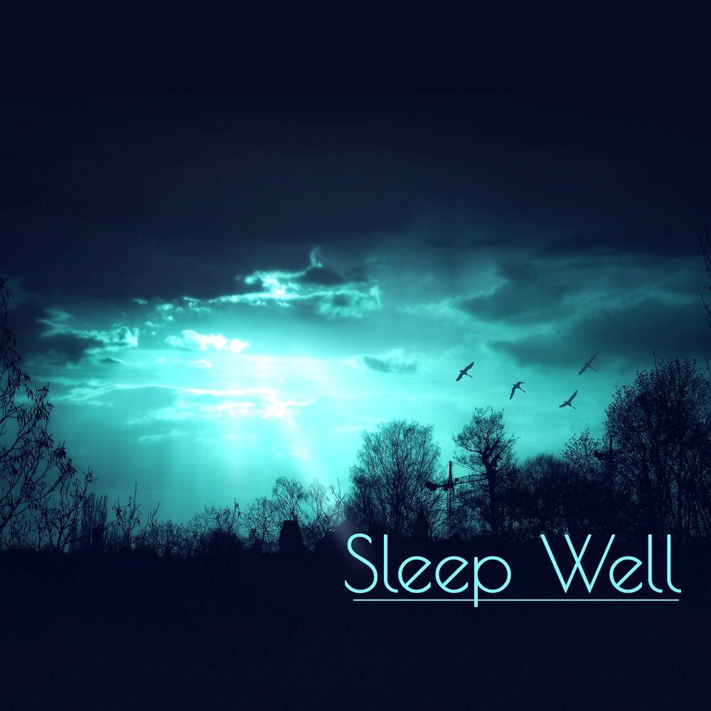 Sleep слово. Обложка песни sleep well. I sleep музыка. Deeply asleep. Deep sleep.