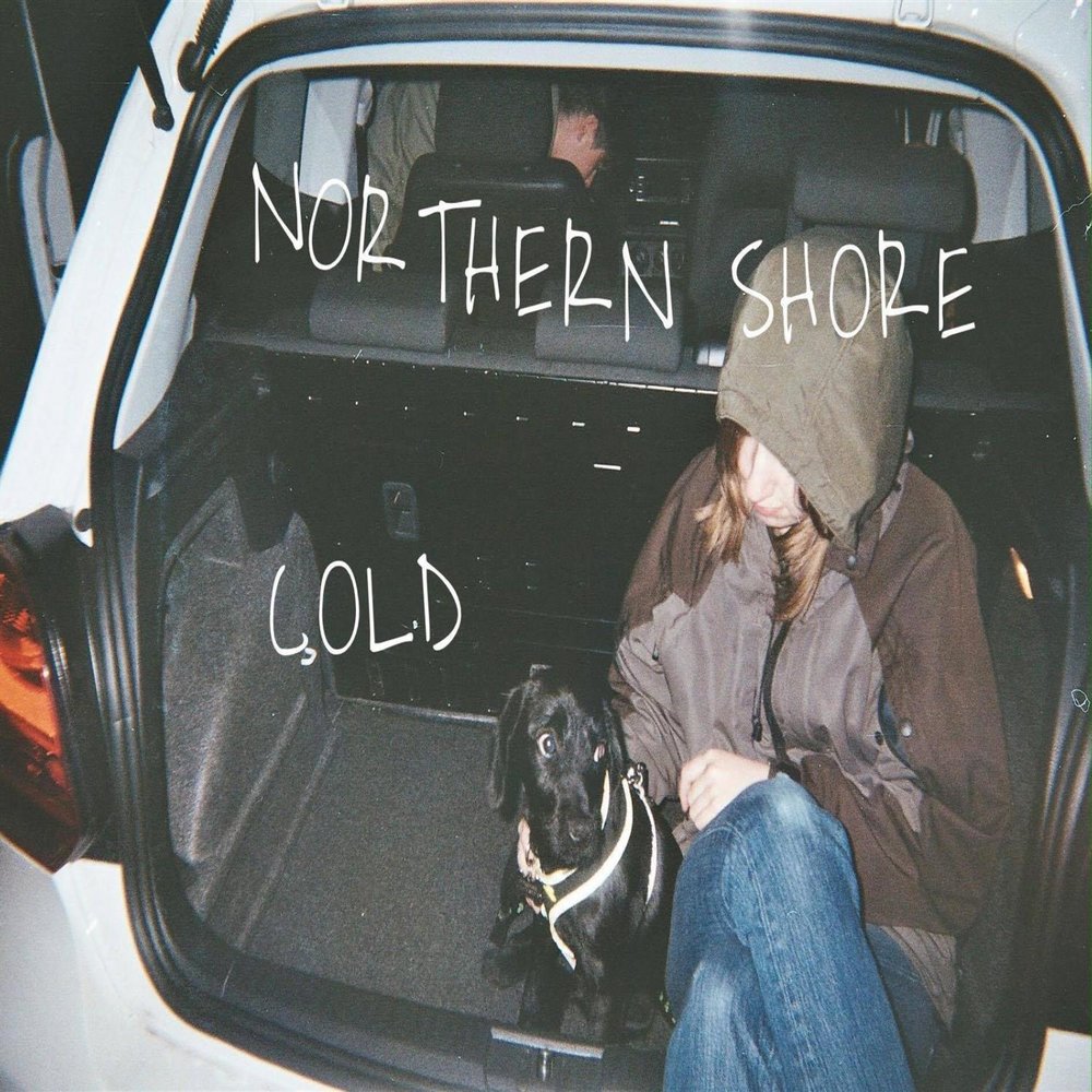 Cage the elephant cold cold cold. Cage the elephant обложки альбомов. Холод внутри. Cage the elephant альбом. Cold colder coldest late later latest.