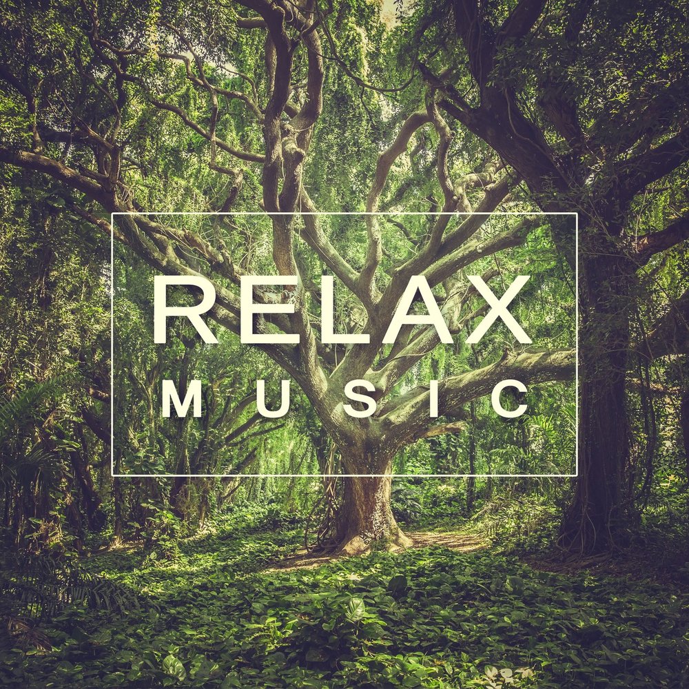 Релакс музыка слушать 2023. Музыкальный лес. Relax Music. Релакс обложка альбома. Релакс музыка арт.