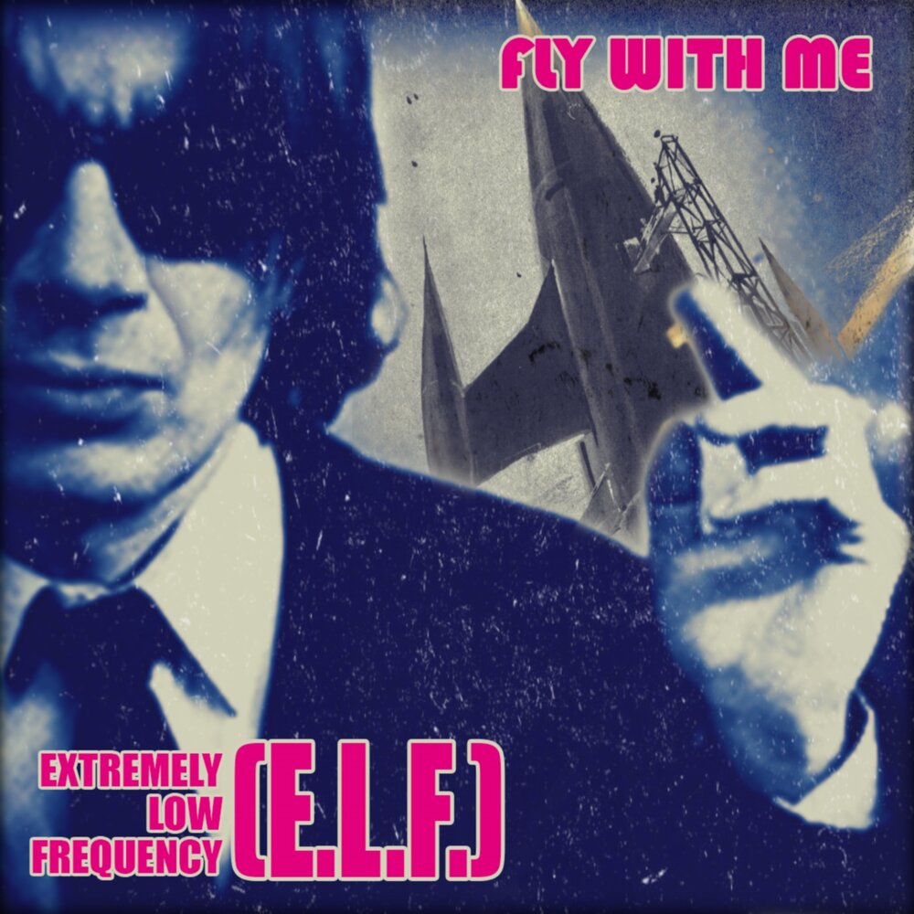 Fly with me песня. Fly with me группа. Тот самый s. e. l. f музыкант.