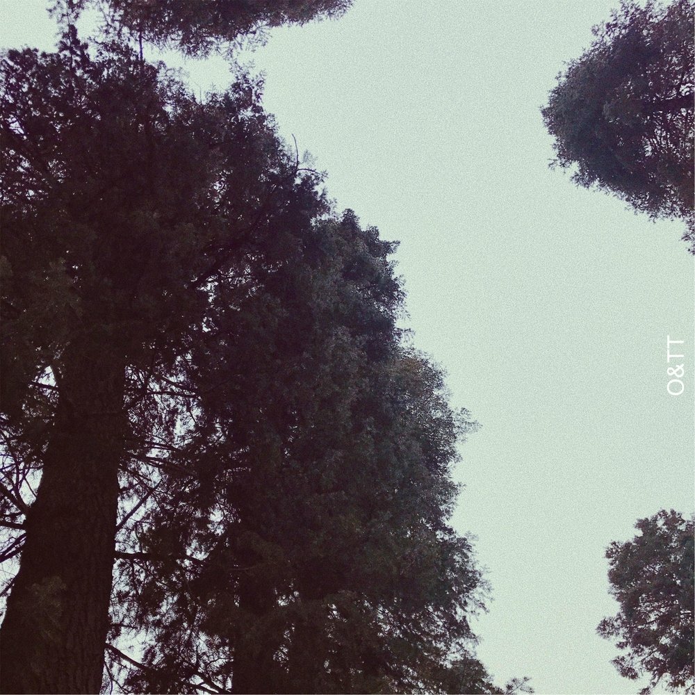 Trees слушать. Jermook - Songs from the Trees (2009).