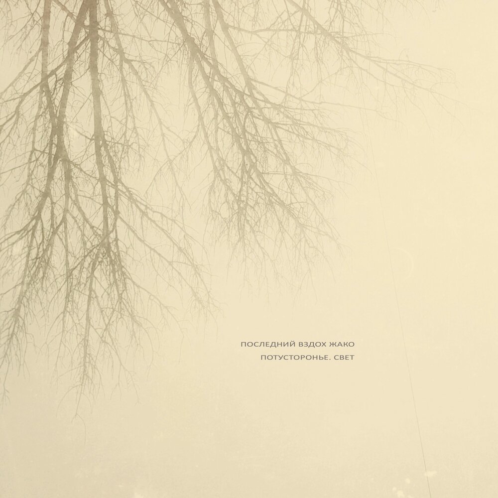 последний вздох жако. последний вздох жако. стихи все в последний раз. жека подлый. последний вздох жако.