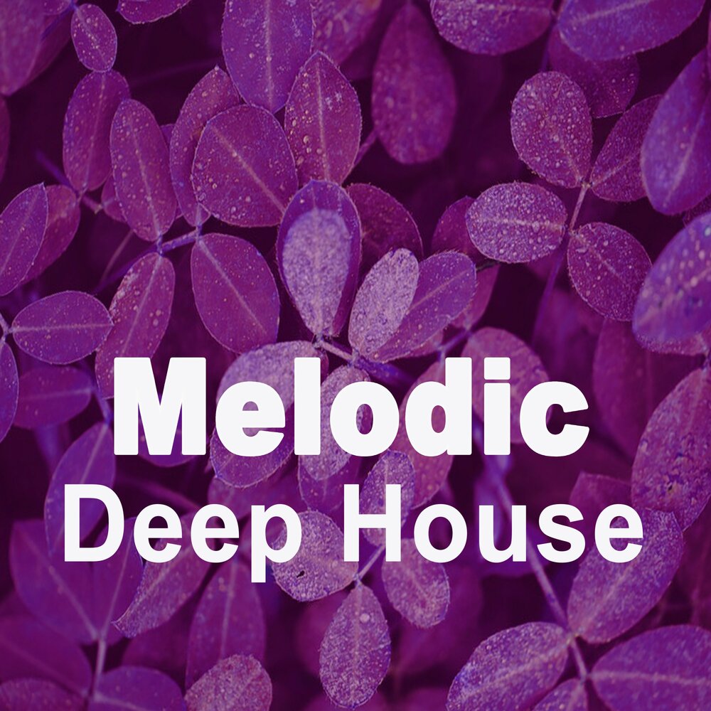 Progressive house melodic techno. Melodic house слушать. Techno house. Melodic house картинка. Прогрессив хаус 2022 логотип.