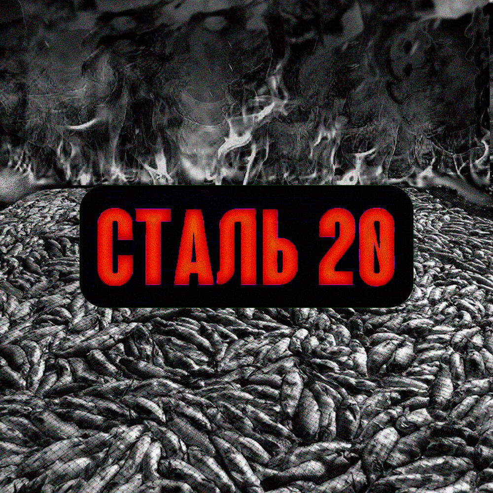 карп обыкновенный – cyprinus carpio. карпы кои. карпы кои. позорный рэп про карпа. музыка карп.