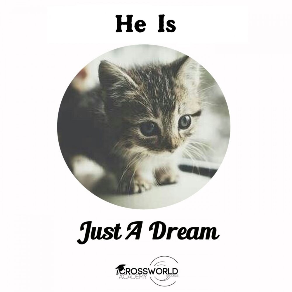 Just a dream paul. Just a Dream. Маленький Дрим he just a Baby. He is Dreaming.
