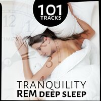 30 Tracks pour dormir (S'endormir rapidement - Relax, Musique pour dormir,  Méditation, Sons de la nature) - Album par Oasis Relaxante Pour Dormir