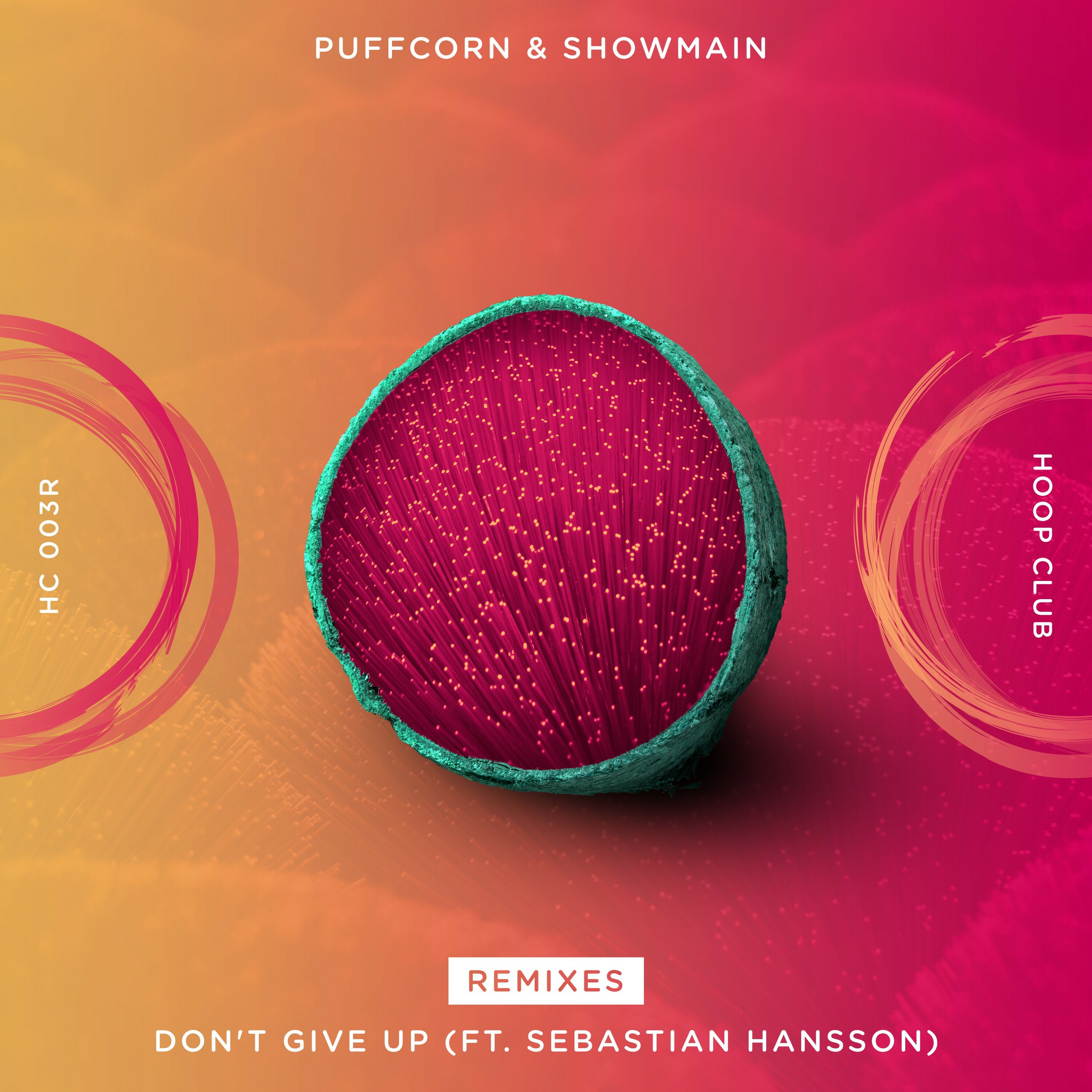 Обложка релиза Don't Give Up (Ft. Sebastian Hansson)