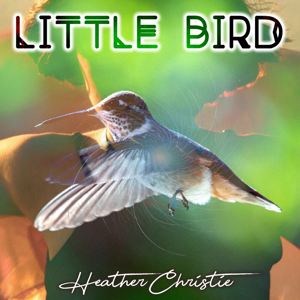 Birds mp3. Little Bird песня. Стих little Bird. Группа Christie альбомы. Heathers album.