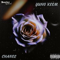 artist-cover