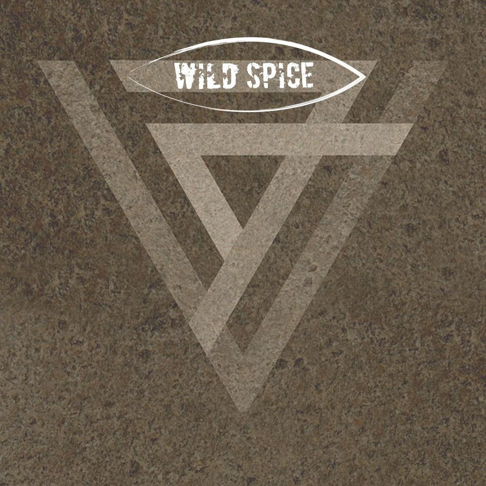 I felt this way. I felt this way. Feel this way песня. нарукавники под шубу с коротким рукавом. снежана костина казань.