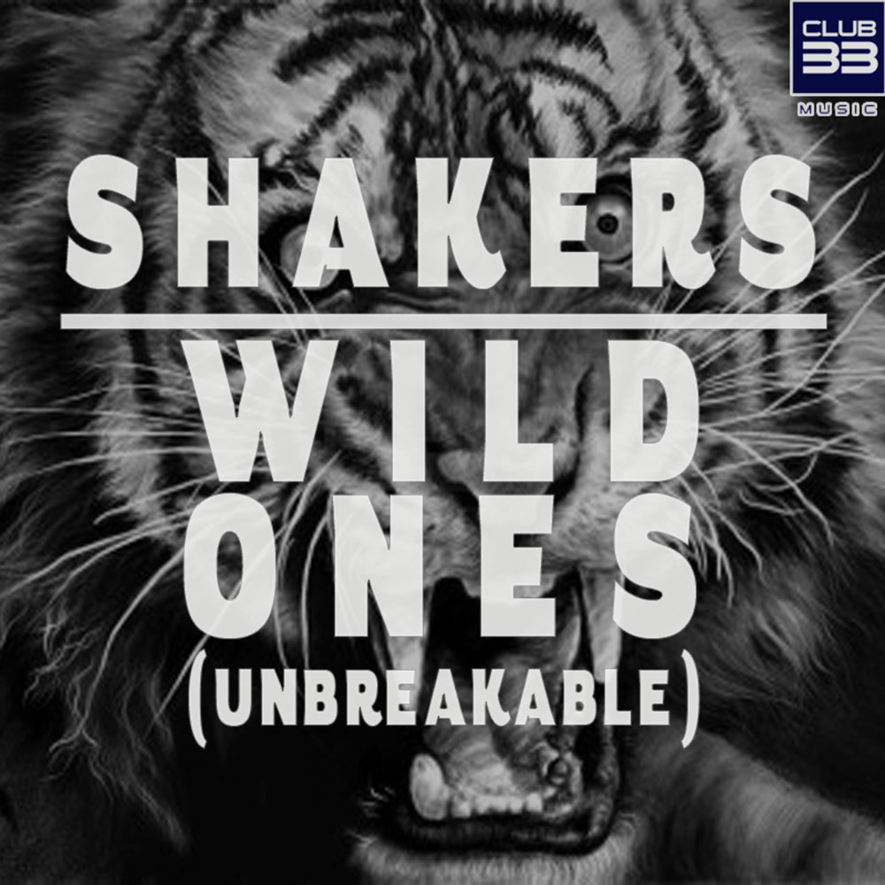 Слушать песню дикая. Wild one. Shaker Radio Edit. Дикий 1 музыка.