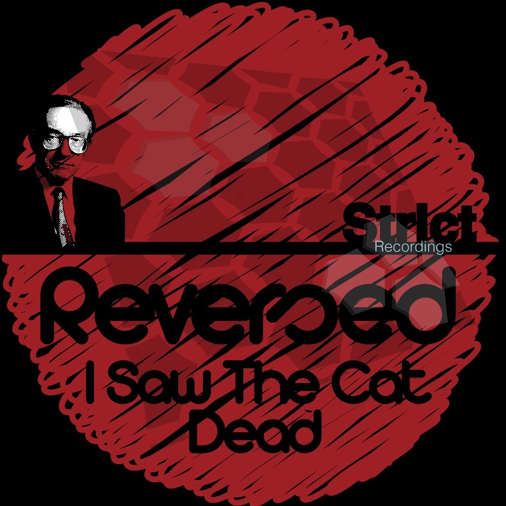 Песня you cat is dead. Overturned recordings. Overturned records.