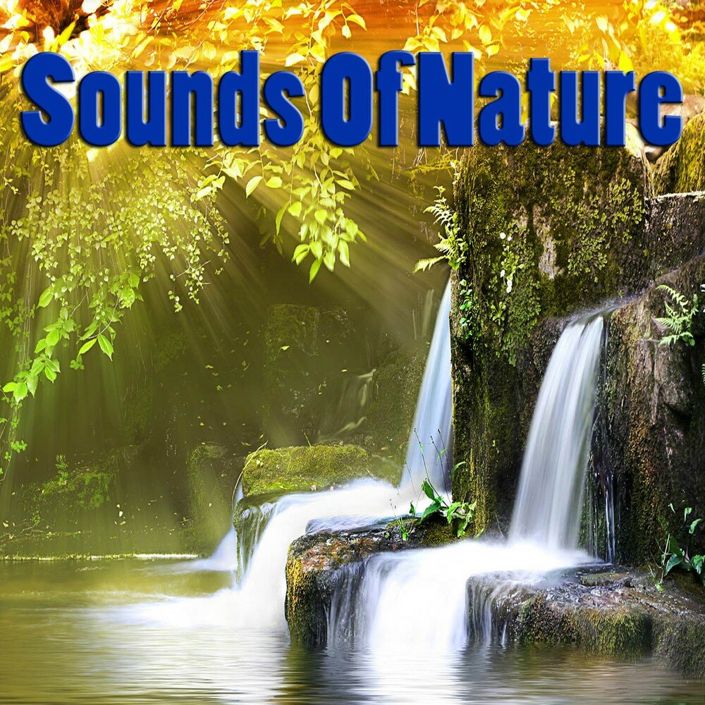 Sounds of nature. V/A "Sounds of nature". Wiki sounds