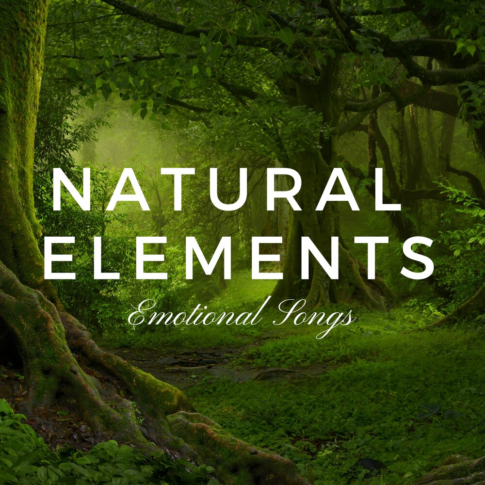 Nature song. Natural elements. Natural Songs mp3. Song about the natural World.