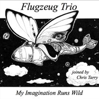 Flugzeug Trio