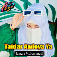 artist-cover