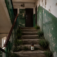 artist-cover