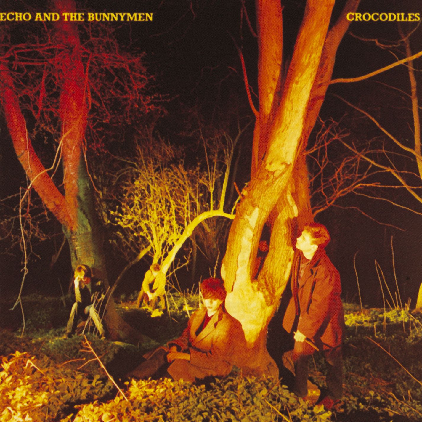 Echo & the Bunnymen