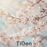Tiden
