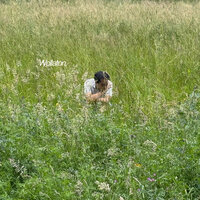 artist-cover