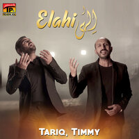 artist-cover