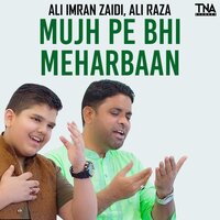 artist-cover