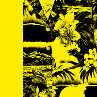 artist-cover