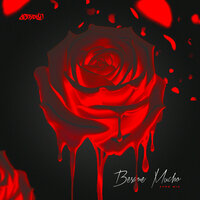 artist-cover
