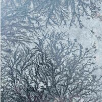 Михаил Минин