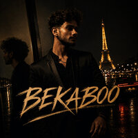 artist-cover