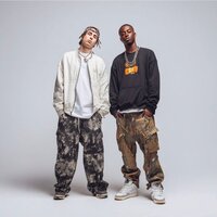 artist-cover