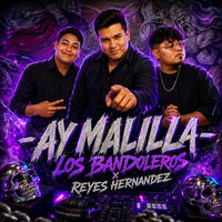 artist-cover