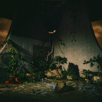 artist-cover