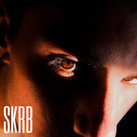 artist-cover