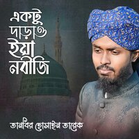 artist-cover