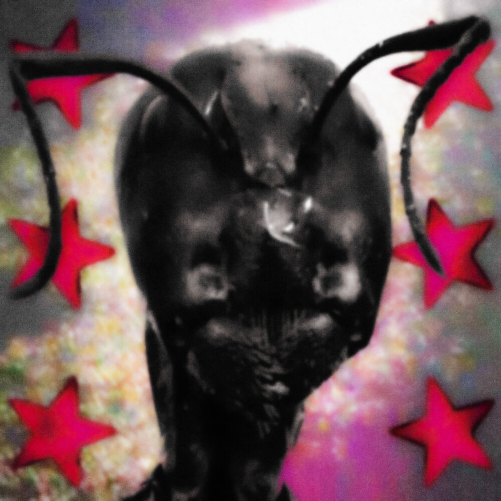 Не Такой Как Все