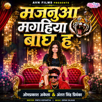 artist-cover