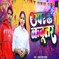 artist-cover